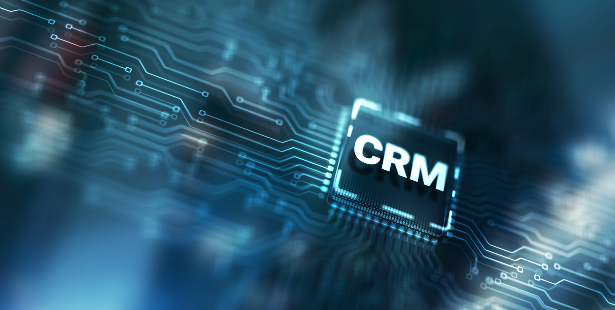 AI in crm e erp